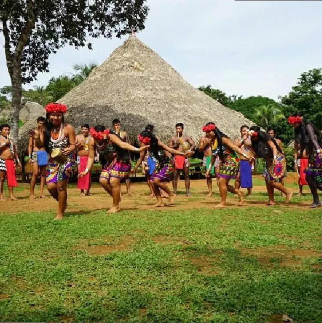 Hombres y mujeres emberá bailan frente a una casa de techo de palma