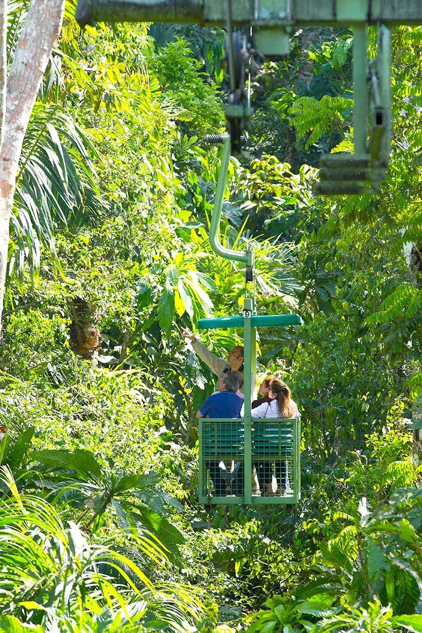 Visitantes suben en una góndola verde del teleférico entre la selva