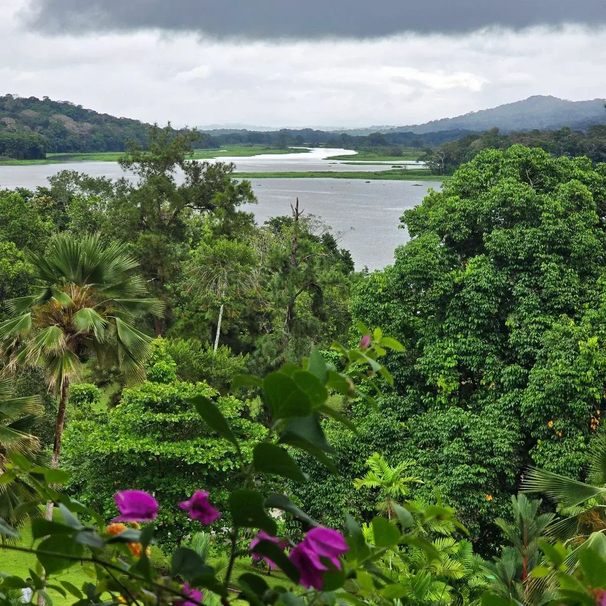 Vista de la selva con el río y el lago al fondo