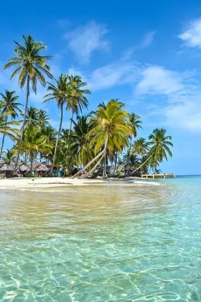 Una isla llena de palmeras sobre agua transparente